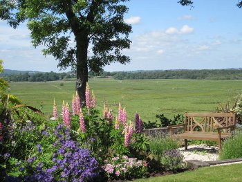 Photo of the garden